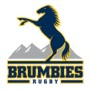 rugby-logo