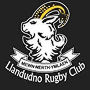 rugby-logo