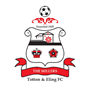 Totton & Eling FC