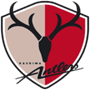 rugby-logo