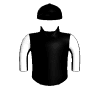 Salt Spartan