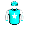 Malibu Blitz