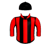 Tigermoth