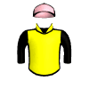 Wing Glider