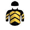 Native Runner