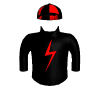 Deputy Ghost