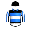 Frosted Warrior