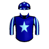 Swiss Army Officer