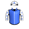 Copartner Pegasus