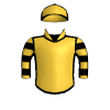 Respirator