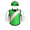 Skellet