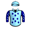 Al Waqidi