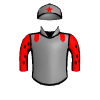 Regal Knight