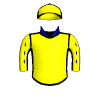 Palace Boss