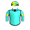 Bronze Bullet