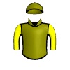 Dive Bomber