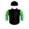Shogun Be Fast
