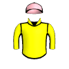 Brigade Commander