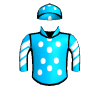 Designer Destiny