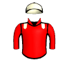 Launcher