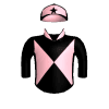 Secret Force