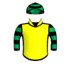 Thesoldiersminit
