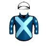 Ambassador