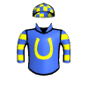 Radiant Knight