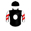 C F V Bullet