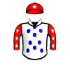 Northern Warrior