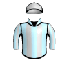 Ocala Dream