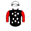 Warhawk Bomber