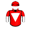 Rogue Bullet