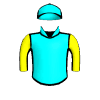 Pokerknightatvees