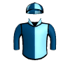 Theflyingbee