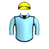Upstart Yankee