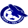 Ironi Nesher