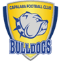 rugby-logo
