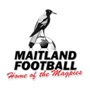 Maitland