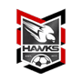 rugby-logo