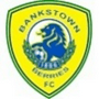 Bankstown Berries