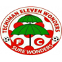 Eleven Wonders