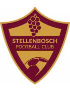 rugby-logo