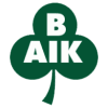 Bergnasets