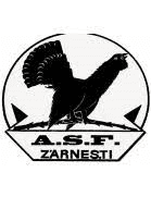 Olimpic Zărneşti