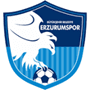 rugby-logo