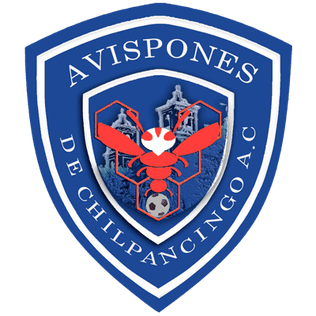 CD Avispones de Chilpancingo