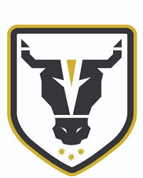 rugby-logo