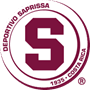 rugby-logo